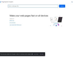 Google PageSpeed Insights